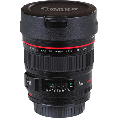 DSC_5619-768_grande.jpg?v=