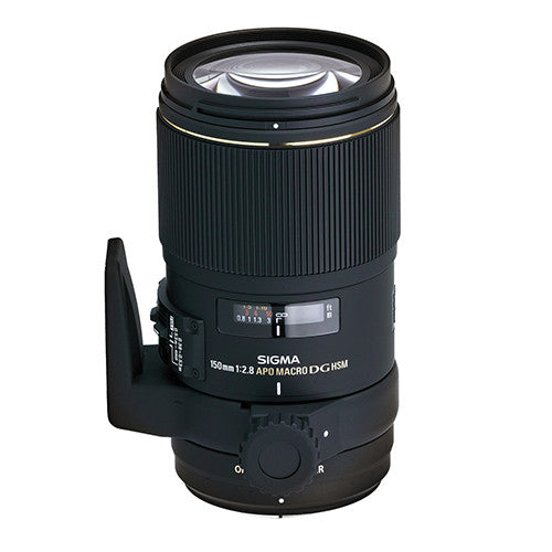 NIKON /SIGMA 150MM MACRO LENS – iStills