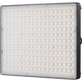 L E D LIGHTS P60C - AMARAN
